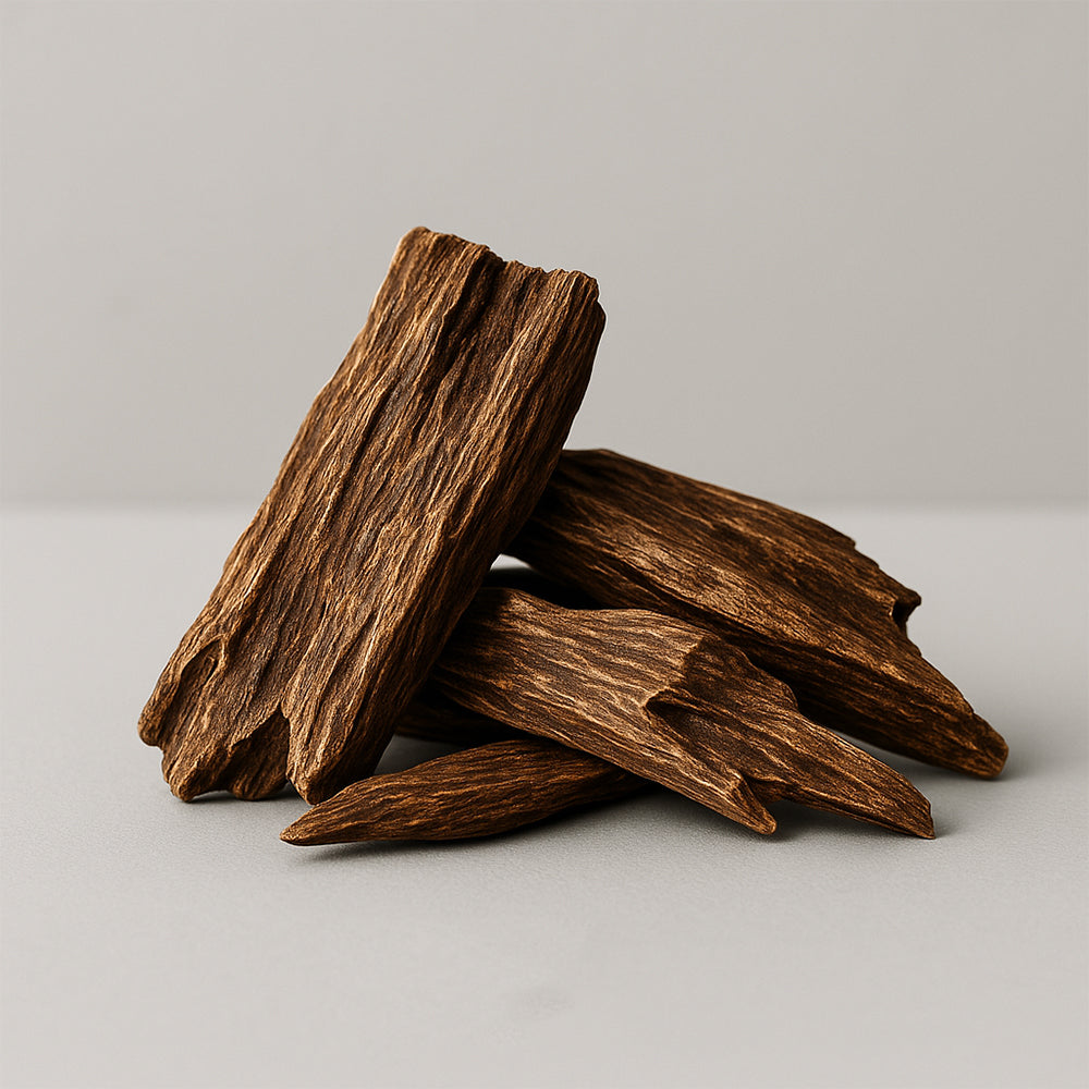 Agarwood Koleksiyonu