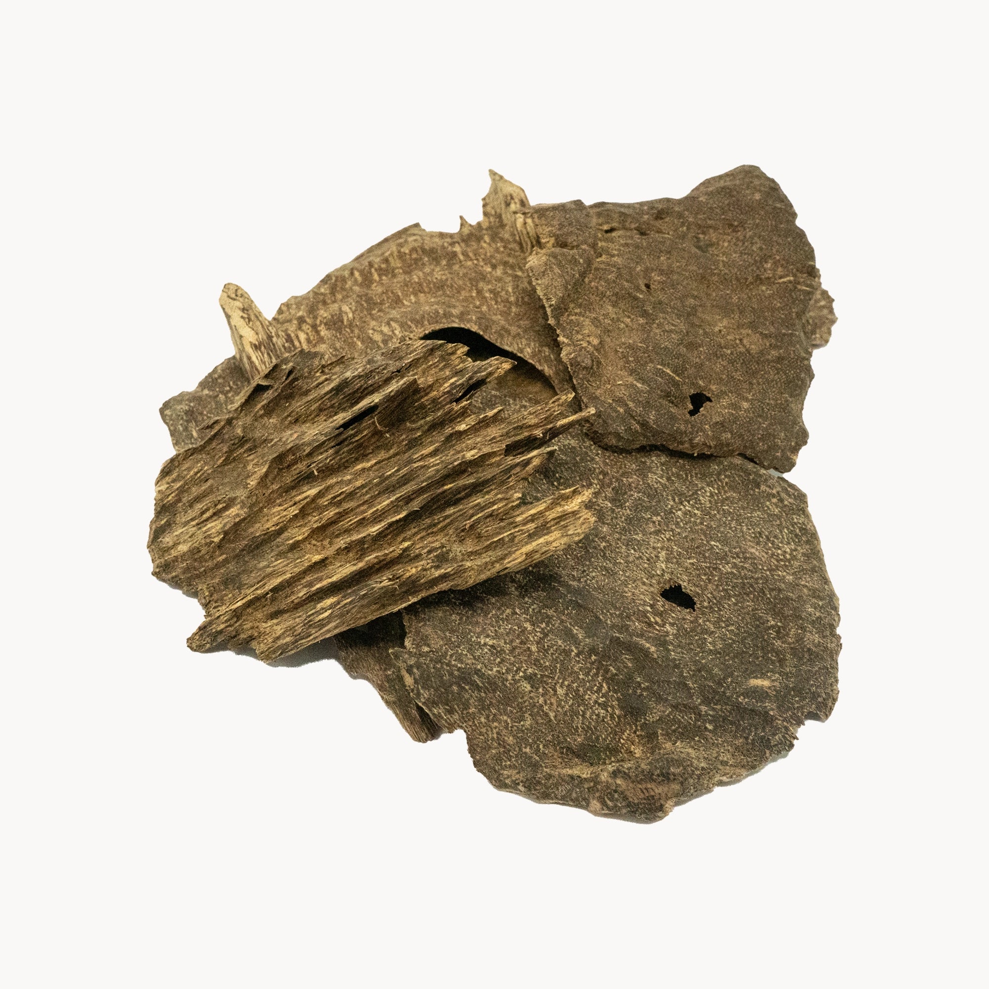 OUD INDIAN GAF ASSAM EXCLUSIVE