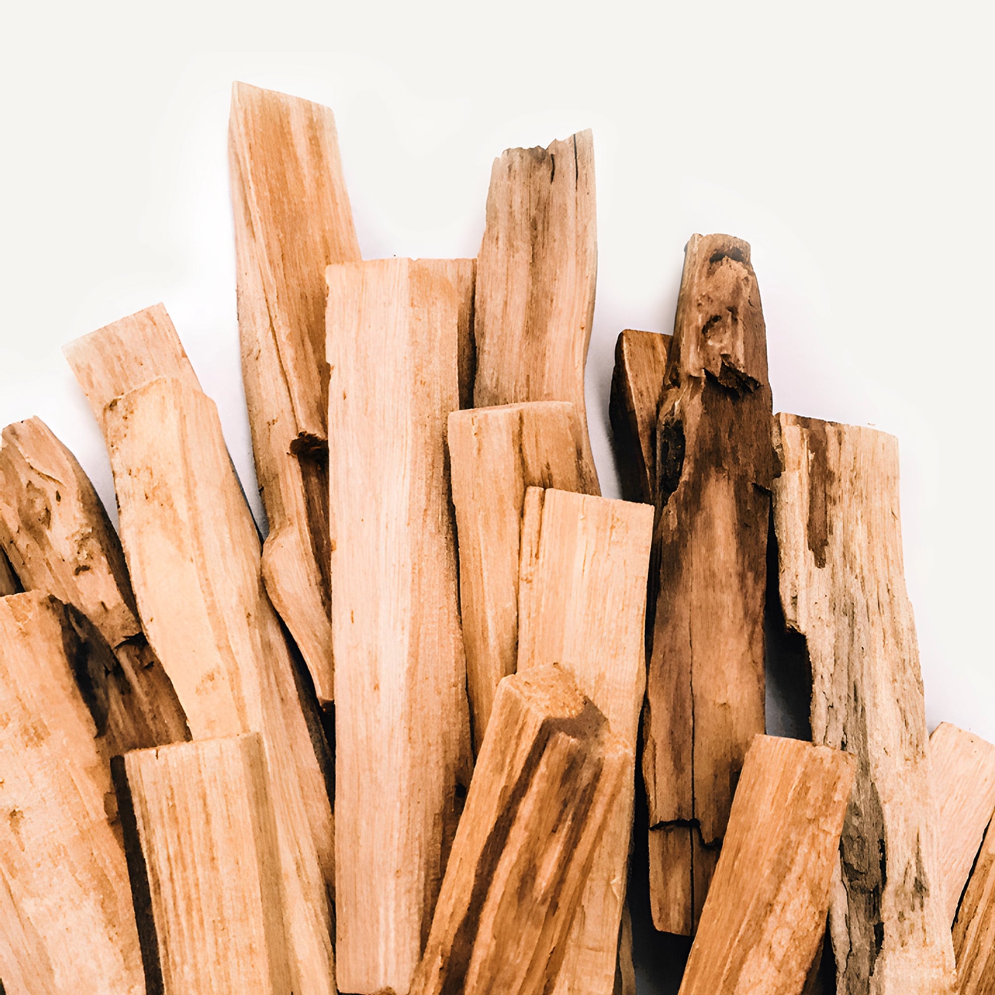 PALO SANTO